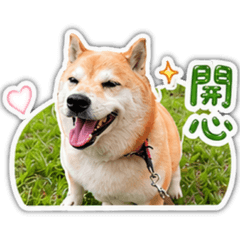 東里兄弟