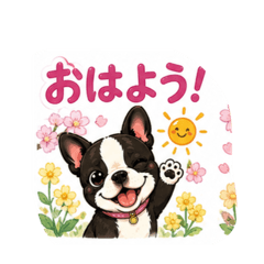 himi_20260505072723