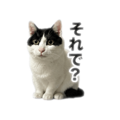 numa_20260505161009