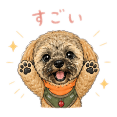 YUKA_20260505160609