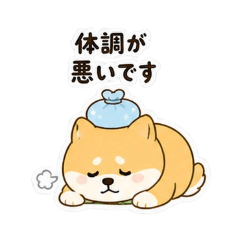 Yamasho_20260505161051