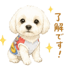 jun_20260505161154