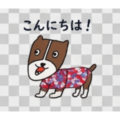 n'wan studio_20260505160931