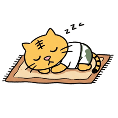 Big Bold Text! Cute Cat Daily Stickers