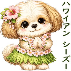 3Dシーズー犬 11「ハワイアン」2026
