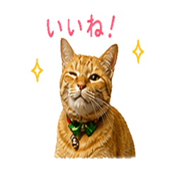 Kawaii Ginger Cat Daily Stickers
