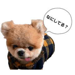 aozora_20260506233925