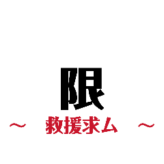 miya_20260429173206