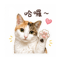 日常回覆用奈子