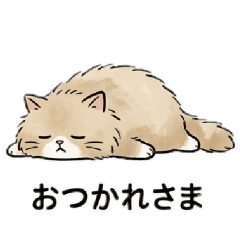 kumakosan_20260505080144