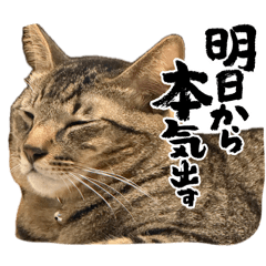 Omochi_20260505080408