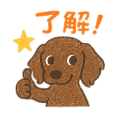BOSS_20260505080748