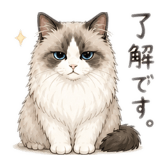 keishi_20260505082331