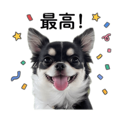 himari_20260505082830
