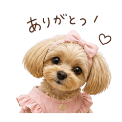 sui_20260505173645