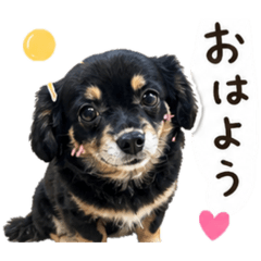 mame1010_20260505174443