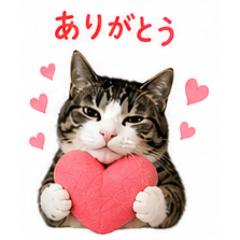 vivian_tomoyuki_20260505081939
