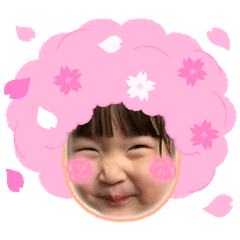 tomo_20260505175047