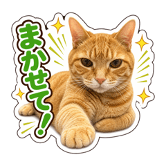 Leo_20260505175019