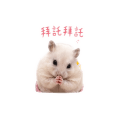 肥仔ㄉ日常對話❤️