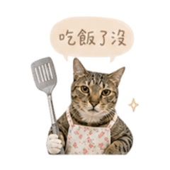 貓媽碎碎念（第一彈）