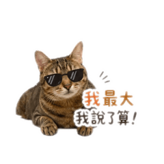 臭答日常