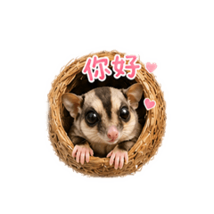多多ㄉ日常用語