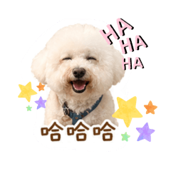 是吳振雄的貼圖啊！