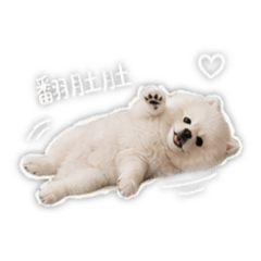 饅頭饅頭！