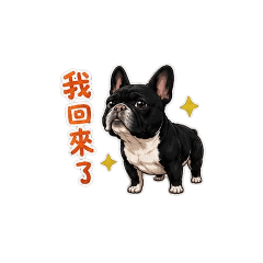 阿Mai的日常