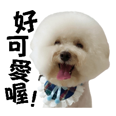 阿寶生活小語2