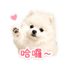 本丸的貼圖語錄