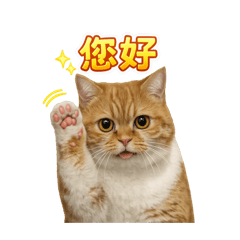 Toby與球球
