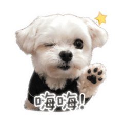 賴糖糖