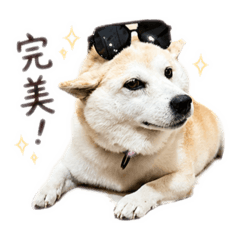 Dora寶2