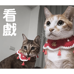 好多好多-1