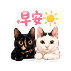 是麻糬還是蘇瑪