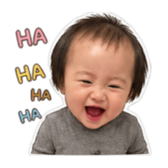 蕎蕎來了！