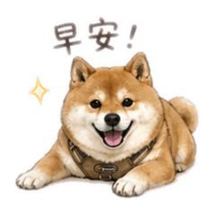 胖柴麻糬