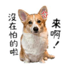 多多不想忍了