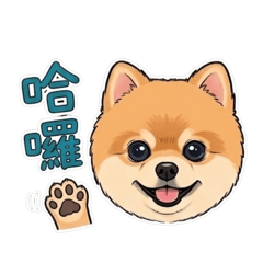 Cooper生活篇