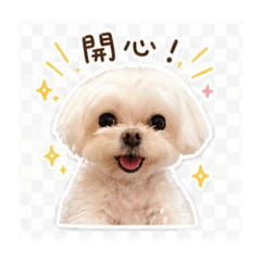 瑪爾天天寶貝