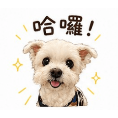 臭寶妞
