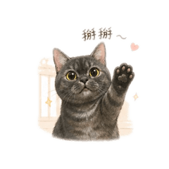 黑色海參