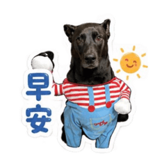 大熊熊-日常