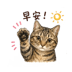 摸摸日常語