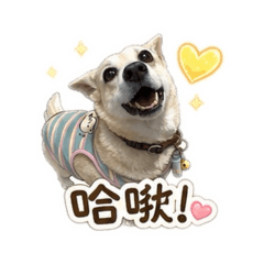 萊仔的小天地2