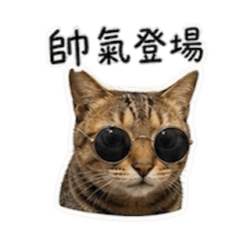 金貴兄弟（胖虎）