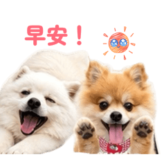 拉菈與樂樂的可愛日常