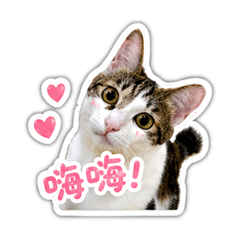 我家FUFU